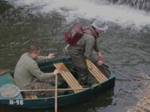 foto/forum/2010/th-img13014.jpg