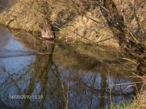 foto/forum/2010/th-img13019.jpg