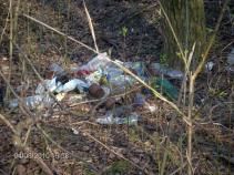 foto/forum/2010/th-img13020.jpg