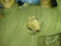 foto/forum/2010/th-img13022.jpg