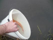foto/forum/2010/th-img13092.jpg