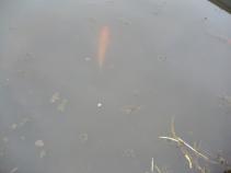 foto/forum/2010/th-img13094.jpg
