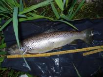 foto/forum/2010/th-img13106.jpg