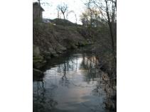 foto/forum/2010/th-img13124.jpg