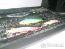 foto/forum/2010/th-img13126.jpg