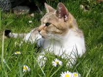 foto/forum/2010/th-img13147.jpg