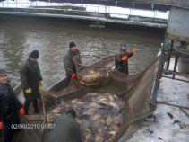 foto/forum/2010/th-img13153.jpg