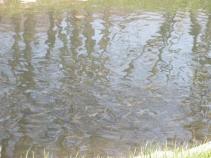 foto/forum/2010/th-img13172.jpg