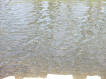 foto/forum/2010/th-img13174.jpg