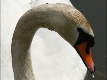 foto/forum/2010/th-img13194.jpg