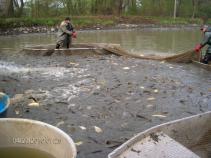 foto/forum/2010/th-img13196.jpg