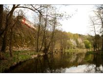 foto/forum/2010/th-img13208.jpg