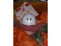 foto/forum/2010/th-img13209.jpg
