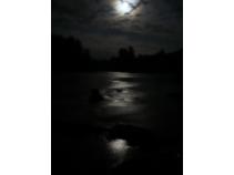 foto/forum/2010/th-img13256.jpg