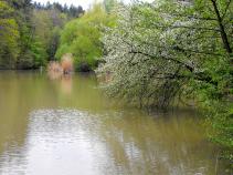 foto/forum/2010/th-img13269.jpg