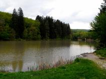 foto/forum/2010/th-img13270.jpg