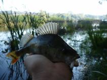 foto/forum/2010/th-img13298.jpg