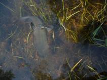foto/forum/2010/th-img13302.jpg