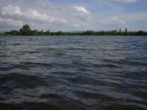 foto/forum/2010/th-img13331.jpg