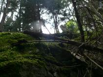 foto/forum/2010/th-img13352.jpg