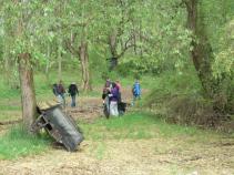 foto/forum/2010/th-img13355.jpg