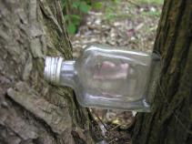 foto/forum/2010/th-img13379.jpg