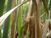 foto/forum/2010/th-img13408.jpg