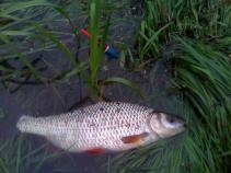 foto/forum/2010/th-img13418.jpg