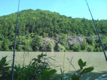 foto/forum/2010/th-img13427.jpg