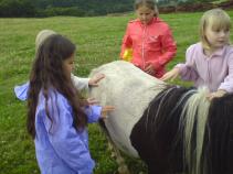 foto/forum/2010/th-img13428.jpg