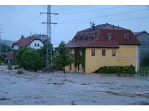foto/forum/2010/th-img13493.jpg