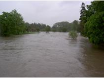 foto/forum/2010/th-img13517.jpg