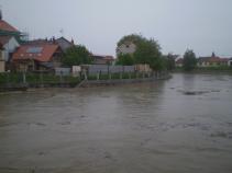 foto/forum/2010/th-img13519.jpg