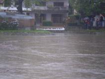 foto/forum/2010/th-img13520.jpg