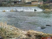 foto/forum/2010/th-img13528.jpg