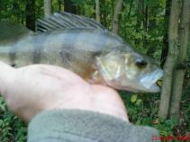 foto/forum/2010/th-img13529.jpg