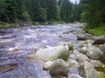 foto/forum/2010/th-img13567.jpg