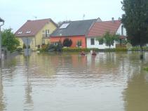 foto/forum/2010/th-img13574.jpg