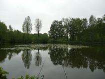 foto/forum/2010/th-img13592.jpg