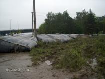 foto/forum/2010/th-img13603.jpg