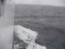 foto/forum/2010/th-img13638.jpg