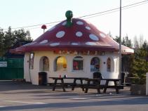 foto/forum/2010/th-img13641.jpg