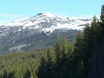 foto/forum/2010/th-img13644.jpg