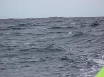 foto/forum/2010/th-img13662.jpg