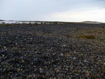 foto/forum/2010/th-img13667.jpg