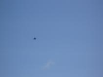 foto/forum/2010/th-img13682.jpg