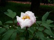 foto/forum/2010/th-img13704.jpg