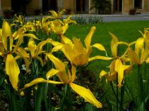 foto/forum/2010/th-img13705.jpg