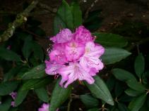 foto/forum/2010/th-img13706.jpg