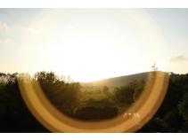 foto/forum/2010/th-img13746.jpg